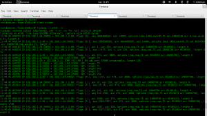 encapulated UDP traffic